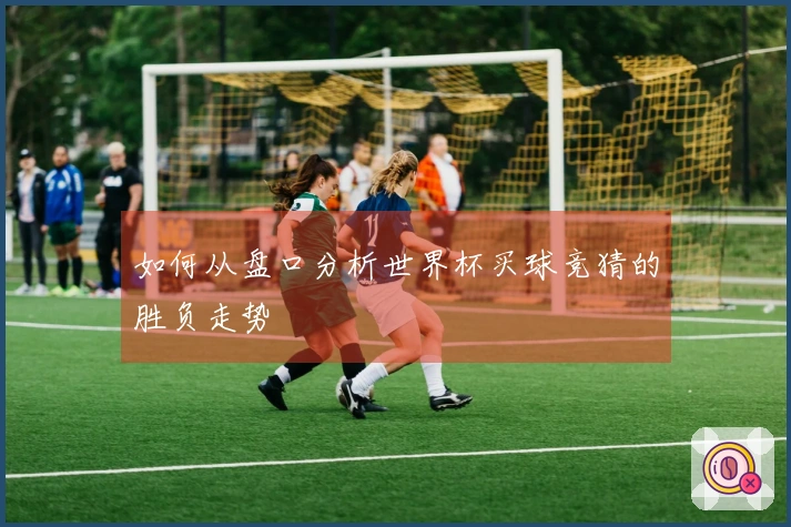 如何从盘口分析世界杯买球竞猜的胜负走势