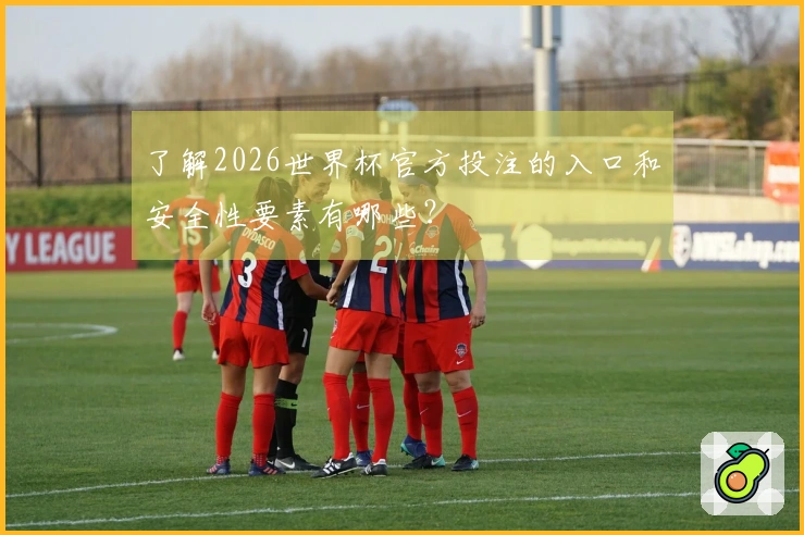 了解2026世界杯官方投注的入口和安全性要素有哪些？